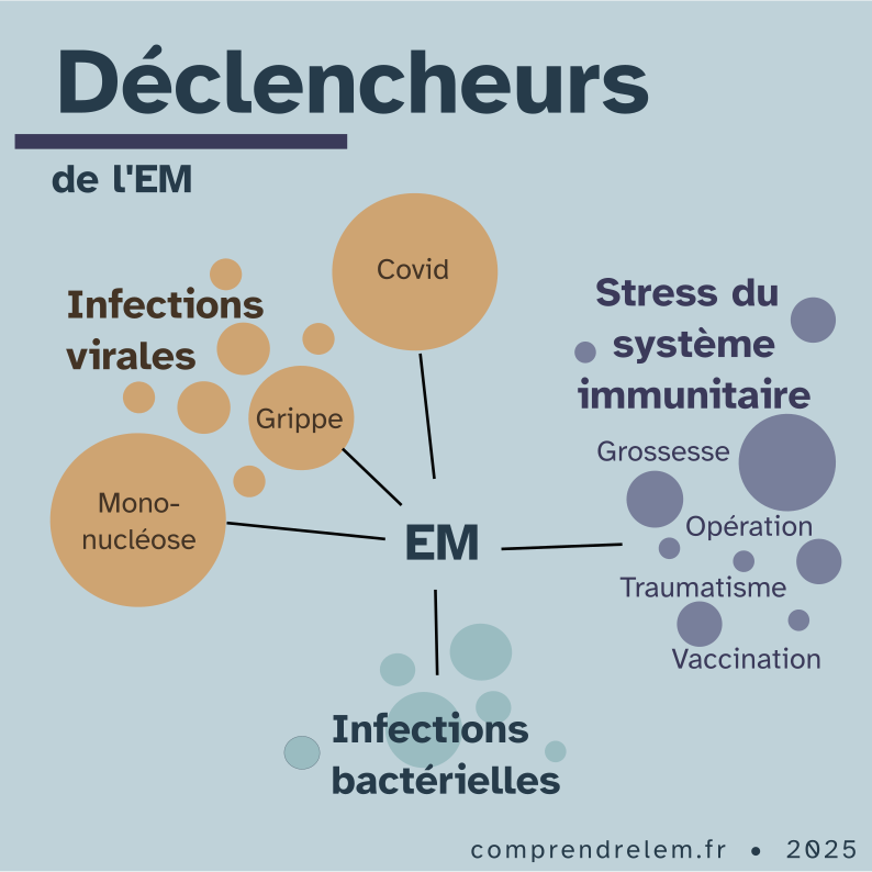 Schéma représentant les déclencheurs de l'EM. Diagramme circulaire. Premier cadrant : Infections virales avec Covid, Grippe, Mononucléose, etc. Deuxième cadrant : Stress du système immunitaire avec Grossesse, Opération, traumatisme, etc. Troisième quadrant : Infections bactérielles.