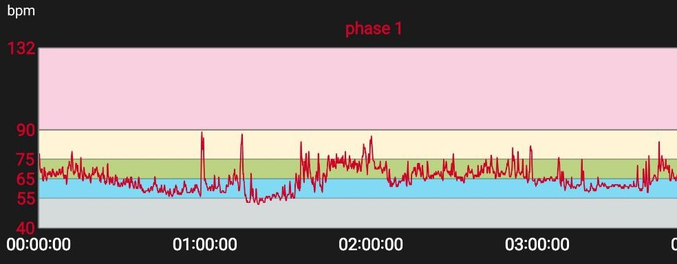 Copie d'écran d'une courbe de la Fréquence Cardiaque sur quatre heures. 